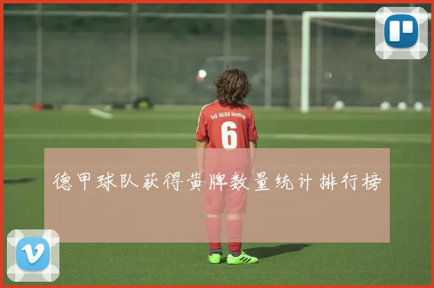 德甲球队获得黄牌数量统计排行榜