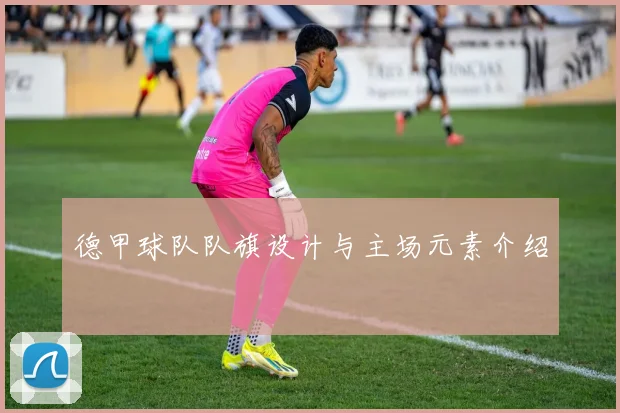 德甲球队队旗设计与主场元素介绍