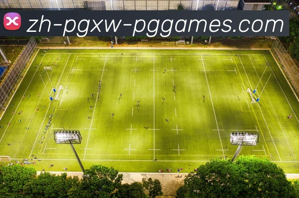 PG模拟器发展历程